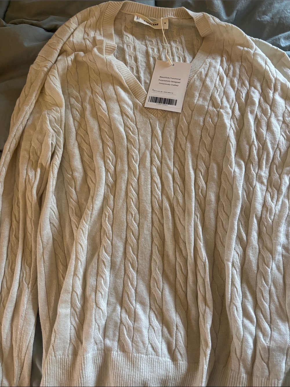 Everlane Cable Knit V-Neck Sweater in Cream